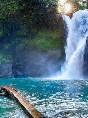 Women's short top, coffee